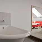 Lol Boutique Center Hostel